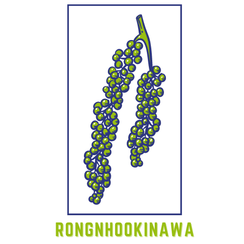 rongnhookinawa.com